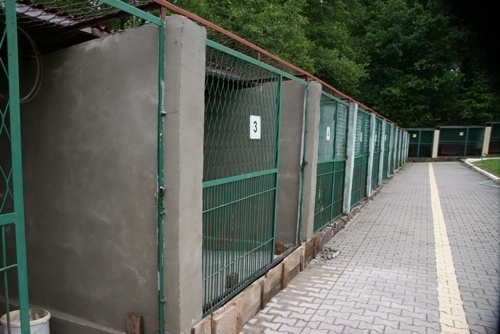 Boksy w schronisku dla zwierząt gruntownie odnawiane